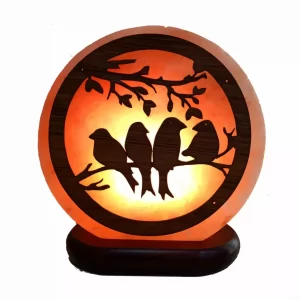 3D Salt lamp